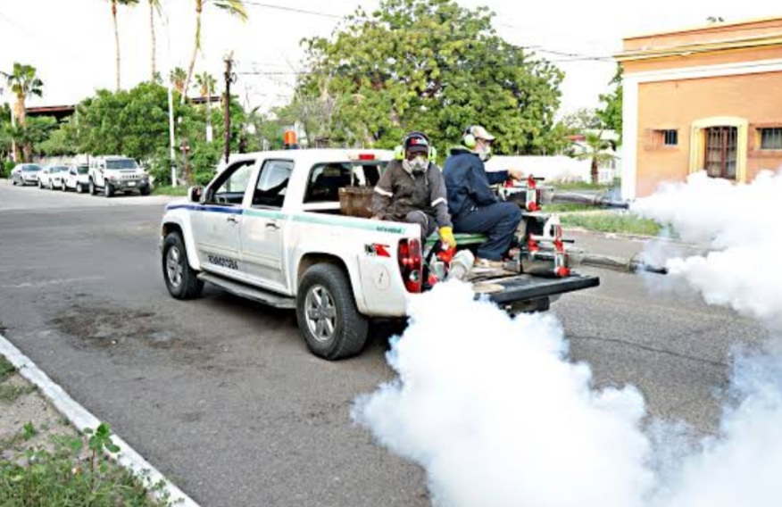 La Municipalidad de la Capital inform&oacute; programa de fumigaciones de esta semana